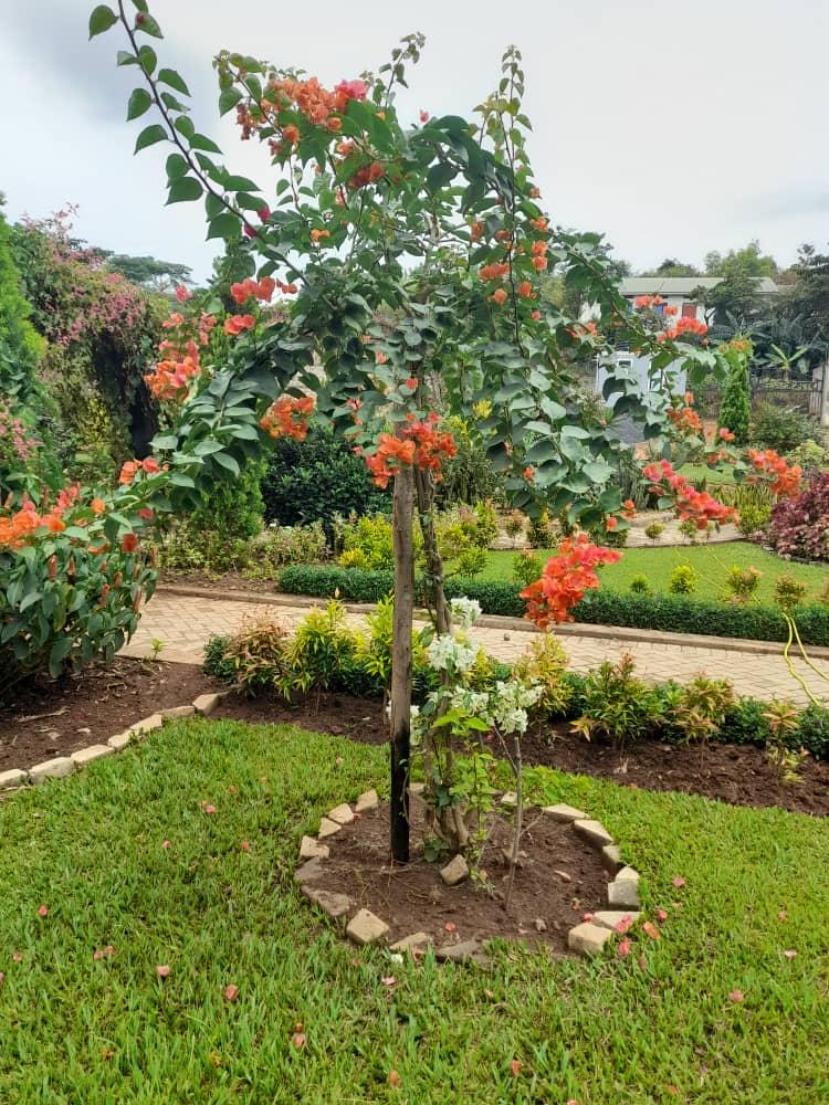 WhatsApp Image 2025-01-20 at 9.24.30 AM (10)