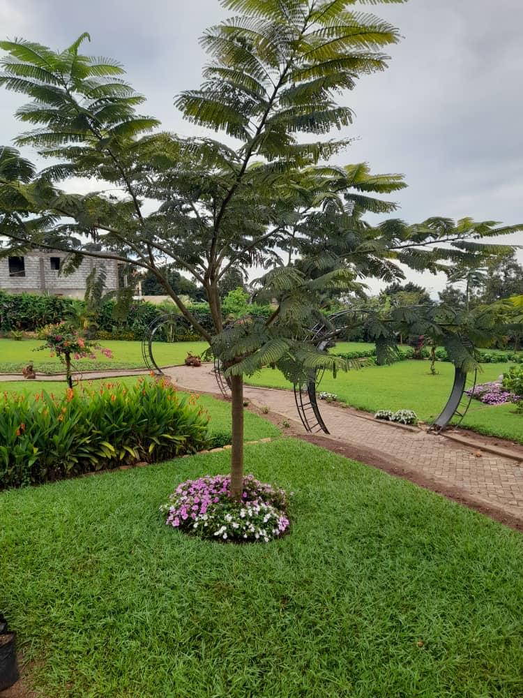 WhatsApp Image 2025-01-20 at 9.24.30 AM (7)