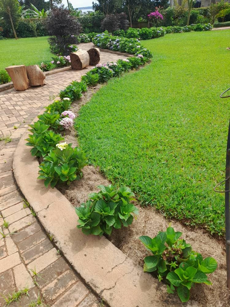 WhatsApp Image 2025-01-20 at 9.24.31 AM (1)