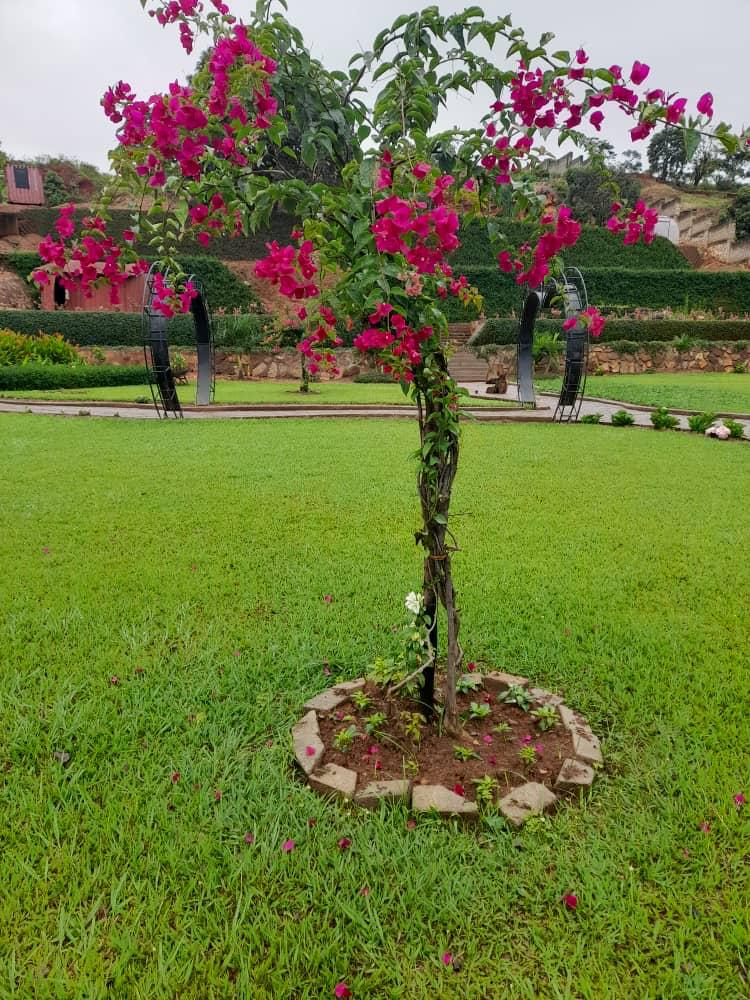 WhatsApp Image 2025-01-20 at 9.24.31 AM